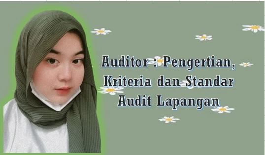 Auditor Pengertian, Kriteria dan Standar Audit Lapangan