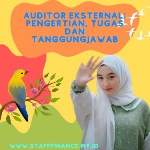 Auditor Eksternal Pengertian, Tugas dan Tanggungjawab